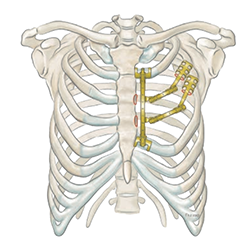 Reconstruction image